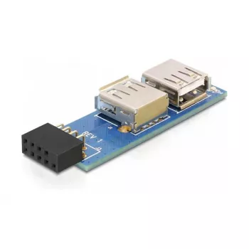 DeLOCK 9 kontaktų 2.54 mm USB 2.0 jungtis 41820