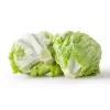 Sėklos Crisp Ice Lettuce Summer Toraf salotos, 1g pakuotė