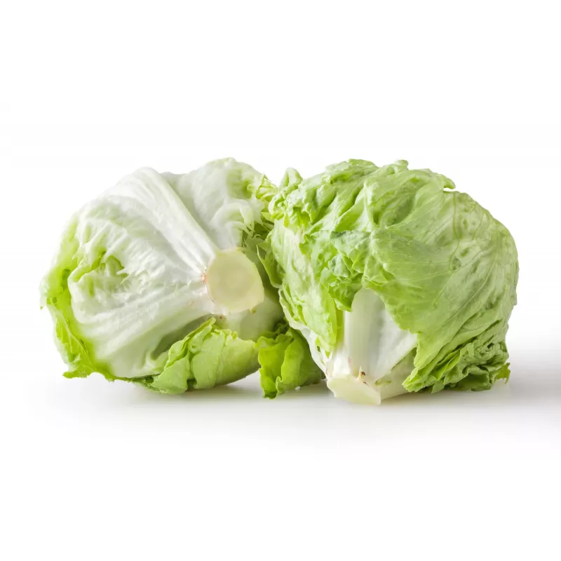 Sėklos Crisp Ice Lettuce Summer Toraf salotos, 1g pakuotė