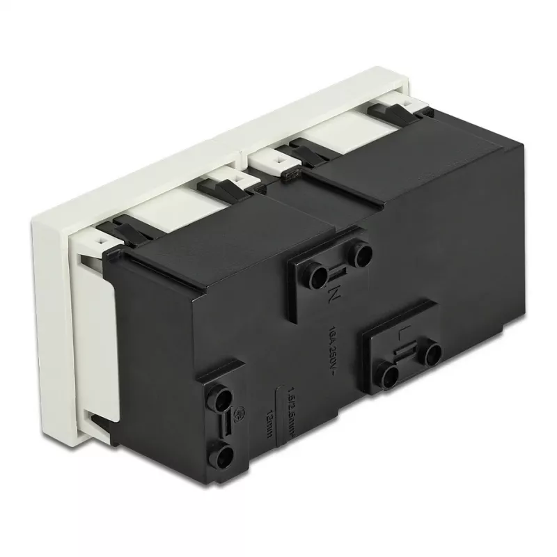 Sieninis kištukinis lizdas DELOCK 81423 — CEE 7/3, 16 A, 250 V, baltas, ABS/PC, 45×90 mm