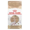 Sausas kačių ėdalas Royal Canin Sphynx Adult 2 kg – kiaulienos skonis