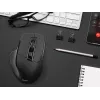 Pelė Tracer Cozy RF 2.4 GHz belaidė optinė dešinei rankai 1600 DPI
