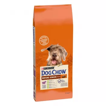 Sausas šunų ėdalas Purina Nestlé Dog Chow Mature Senior su ėriena 14 kg