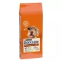Sausas šunų ėdalas Purina Nestlé Dog Chow Mature Senior su ėriena 14 kg