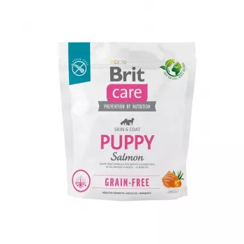 Sausas šunų ėdalas Brit Puppy Salmon 1 kg – grūdų neturintis ėdalas šuniukams