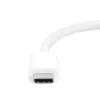 LogiLink UA0360 vaizdo adapterio kabelis USB-C į Mini DisplayPort