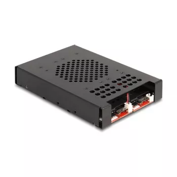 DeLOCK 47117 3,5 colio mobilus krepšelis 2 M.2 NVMe SSD