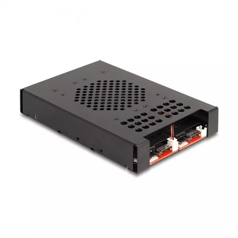 DeLOCK 47117 3,5 colio mobilus krepšelis 2 M.2 NVMe SSD