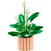 LEGO BOTANICALS 11504 Taikos lelija