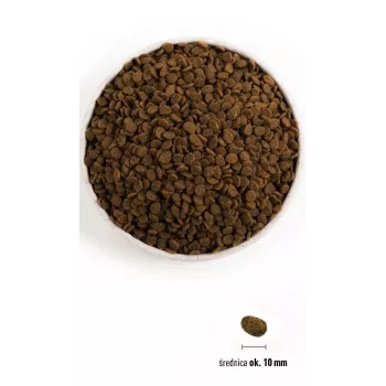 ORIJEN Guardian 8 - sausas kačių ėdalas - 1,8 kg