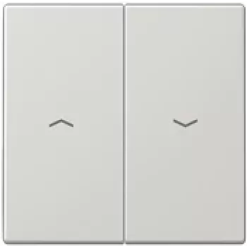 Jung LS 995 P LG (LS995PLG) – jungiklis