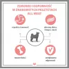 PUPIL Premium All Meat Gold Ėriuko balnas – šlapias šunų maistas – 800g