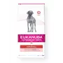 Eukanuba Veterinary Diet Intestinal 12 kg suaugusiems šunims
