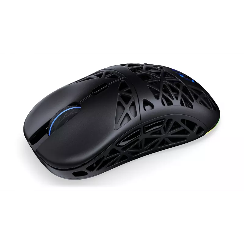 Belaidė pelė ENDORFY EY6A016 Bluetooth