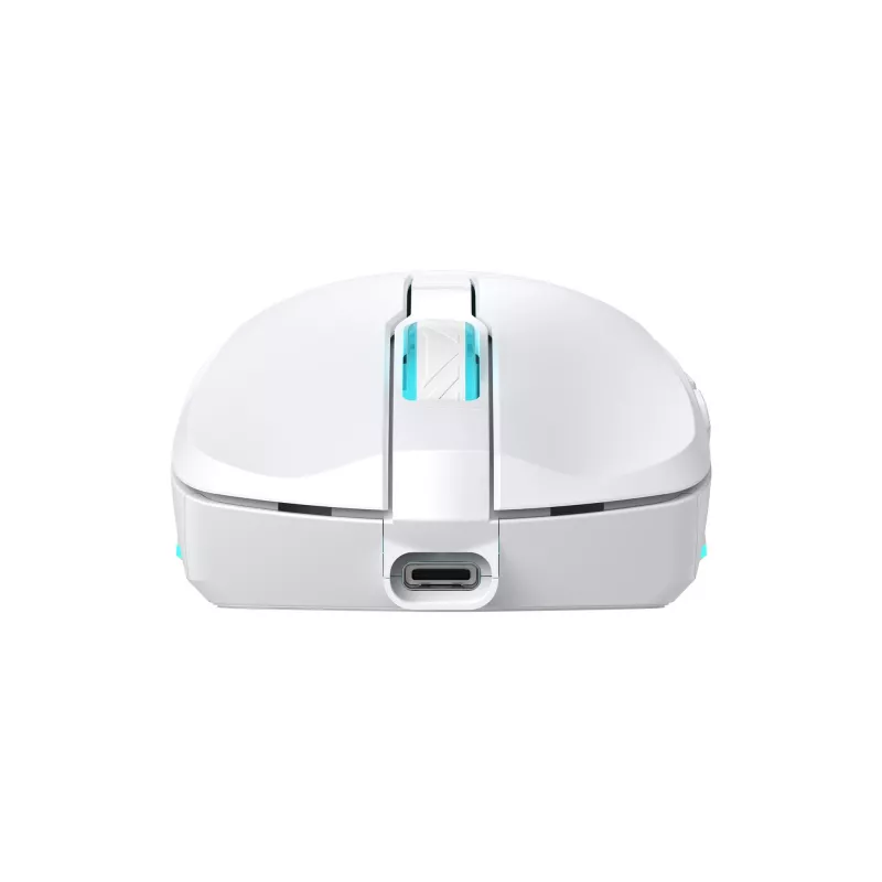 Pelė Baracuda Turtle BGM-122 balta TURTLE-W