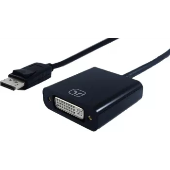 STANDARD DisplayPort-DVI adapteris, DP kištukas-DVI lizdas, 0,15 m (S3202)