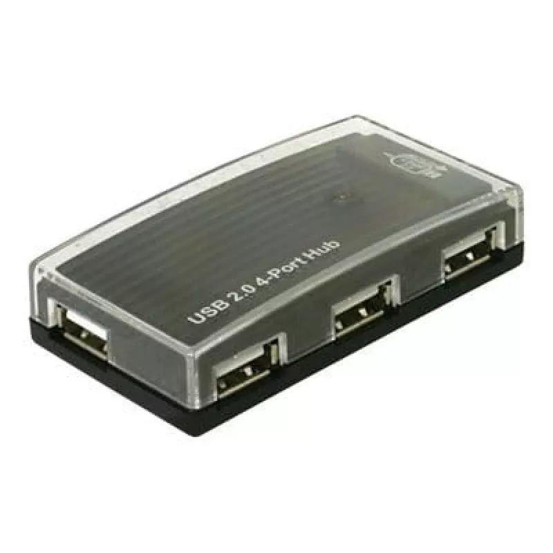 USB šakotuvas DeLOCK 4 prievadų išorinis USB 2.0 480 Mbit/s