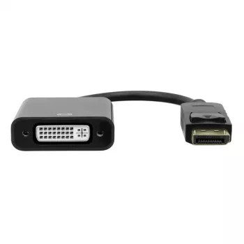Garbot DisplayPort į DVI adapteris 20 cm juodas