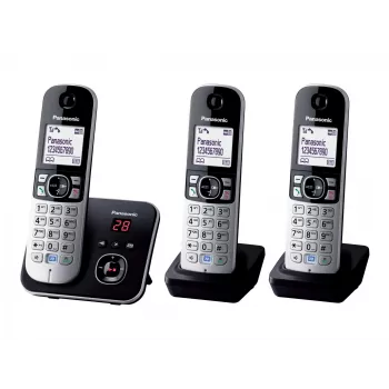 DECT telefonas Panasonic KX-TG6823GB