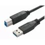 USB laidas Bachmann 917.1205 USB 3.2 Gen 1 1 m USB A USB B juodas