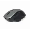 Gembird MUSW-6B-02-BG belaidė optinė pelė su USB imtuvu