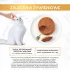 Purina Gourmet Gold putėsiai su tunu, šlapias kačių ėdalas, 85 g