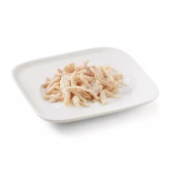 SCHESIR in jelly vištiena – šlapias šunų ėdalas – 150 g