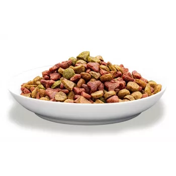 Sausas kačių ėdalas PREVITAL Adult su jautiena 1,4 kg