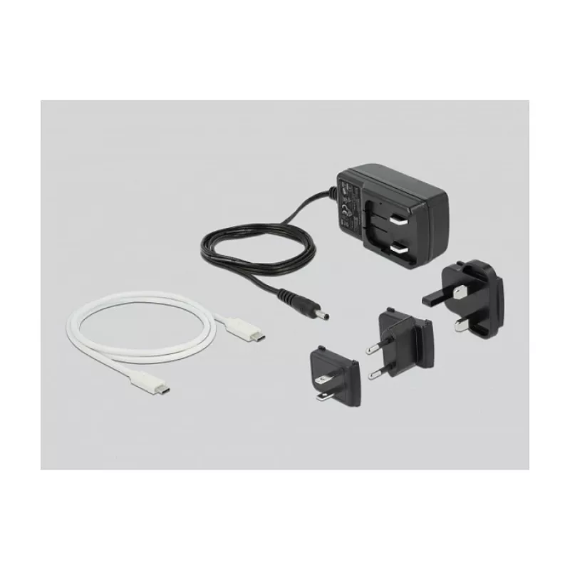 Docking stotelė DeLOCK USB Type-C 3.2, skirta 2 x 2,5 colio SATA HDD/SSD