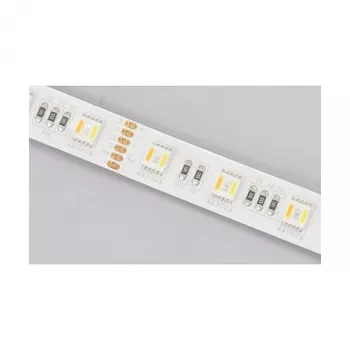 Synergy 21 LED Flex Strip 5050 - 60 RGB DC24V + RGB-WW (RGB-CCT) viena lusta IP20