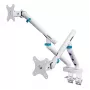 Laikiklis monitoriams DIGITUS Dual, dviem 35 colių ekranams, spaustuvas, 2×10 kg, VESA 75–100, pakreipimas -45–90°