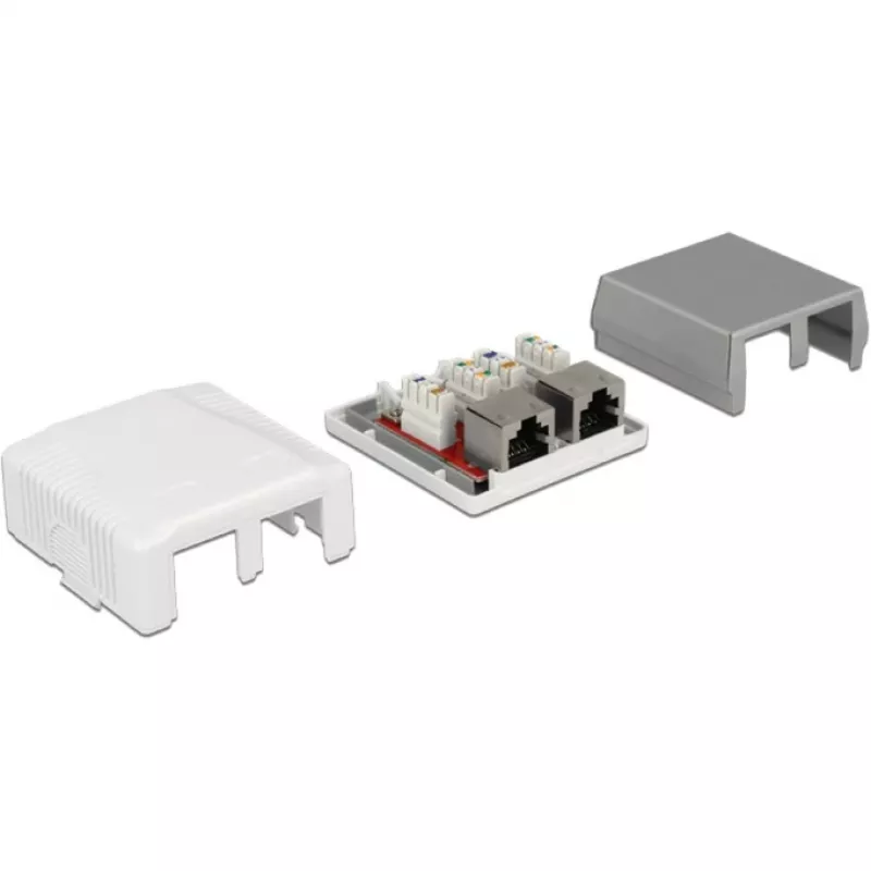 Sieninis lizdas 2 x RJ-45 DeLOCK 86197