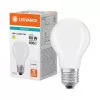 Osram LED Classic A 60 Filament P 5.9W 840 Matinis E27 LED lemputė, klasikinė kolba