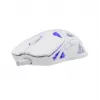 Pelė White Shark GM-5019 Dagonet belaidė