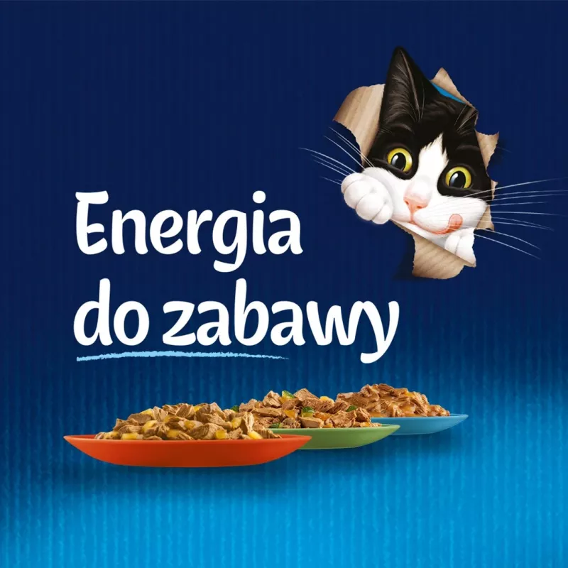 Šlapias kačių maistas Purina Nestlé FELIX Fantastic žuvies skoniai – tunas, lašiša, menkė, plekšnė, 12×85 g paketėliai