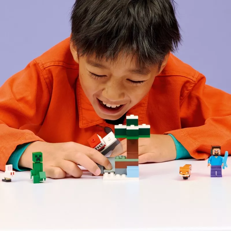 LEGO MINECRAFT 21583 Steve'o taigos nuotykiai