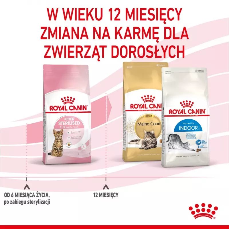 Royal Canin Kitten Sterilised sausas kačių maistas kačiukams 3,5 kg su paukštiena