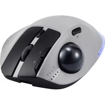 Renkforce RF-6697034 pilka pelė