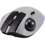 Renkforce RF-6697034 pilka pelė