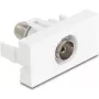 DeLOCK 90844 Kištukinis lizdas IEC F baltas 75 Ω vyriškas