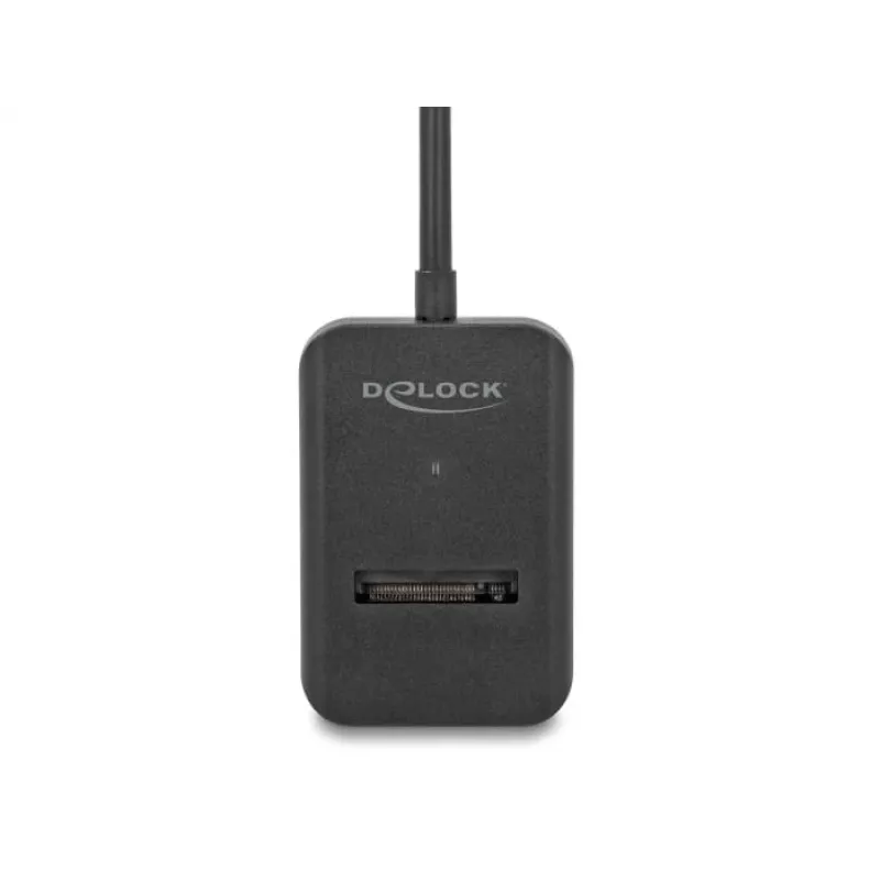 DeLOCK kombinuotas keitiklis M.2 NVMe PCIe SATA SSD USB Type-C 10 Gbps