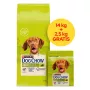 PURINA Dog Chow Adult Ėriena - sausas šunų ėdalas - 14 + 2,5kg