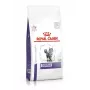 Sausas kačių ėdalas Royal Canin Dental 1.5 kg – suaugusioms katėms, paukštienos skonio, 29% baltymų, dantų priežiūrai