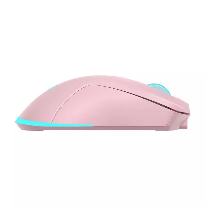 Belaidė pelė Baracuda Turtle BGM-124 rožinė TURTLE-P