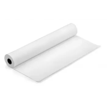 Terminio popieriaus rulonas 210 mm x 30 m (10 metų vaizdo išlaikymo garantija)