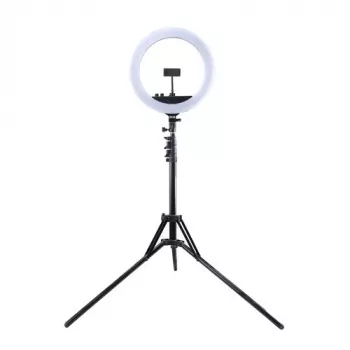 LED žiedinis apšvietimas 34,5 cm su trikoju iki 1,85 m, veidrodžiu ir telefono laikikliu, USB