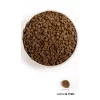 Acana Wild Prairie Cat – sausas ėdalas katėms – 4,5 kg