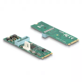 DeLOCK 61065 vidinis USB 3.2 Gen 1 M.2 adapteris