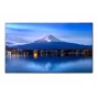 Didelio formato ekranas SHARP NEC P506 50 colių P-Series UHD