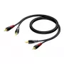 Audio laidas Procab 1KPCL084 — 2x RCA kištukas į 2x RCA kištuką, 3 m